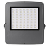 RH-P002 OEM High Efficiency CE RoHS IP65 Garden Lamp 50w 100w 150w 200w Outdoor LED Flood Lighting