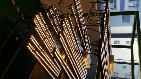 Fashionable Exterior Design LED Linear Light IP65 10W Wall Washer Light