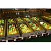 Chinese Wholesale Price High Quality LED Spot Lighting